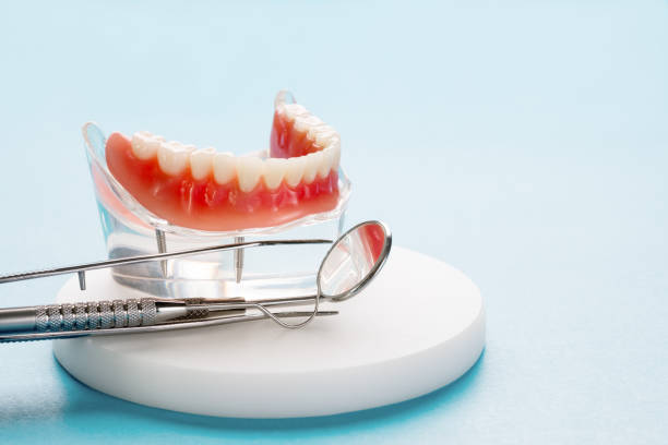 Best Laser Dentistry  in Fox Chase, PA